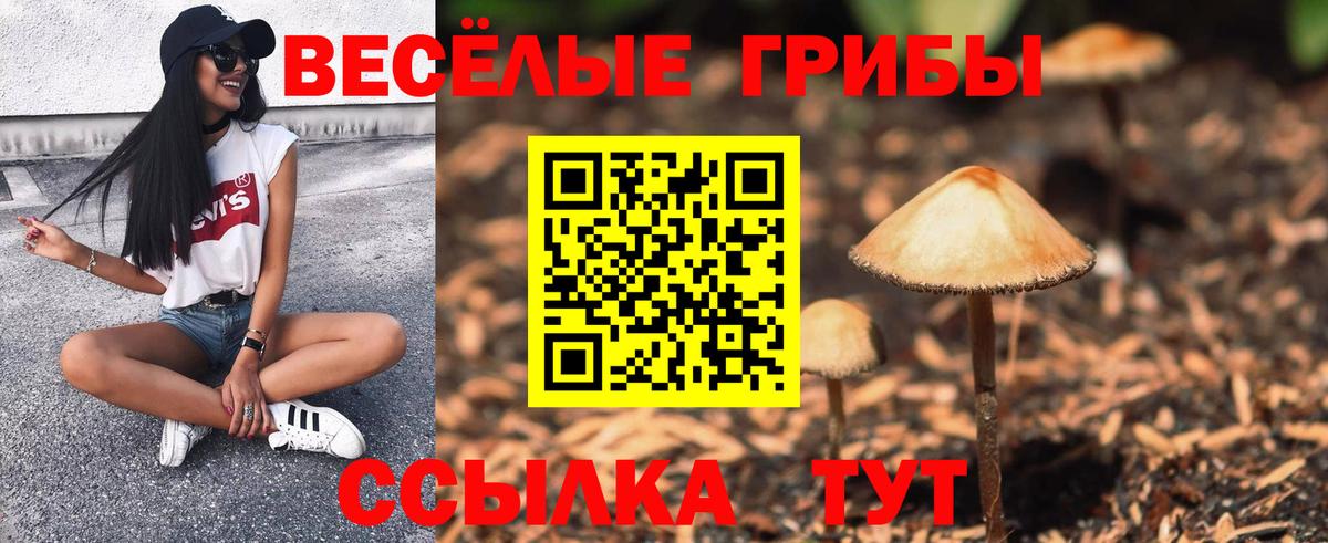 Альметьевск  Галлюциногенные грибы мухоморы  Вход с VPN 